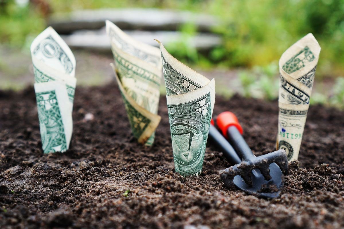 Billetes plantados en tierra simbolizando una inversión que crece